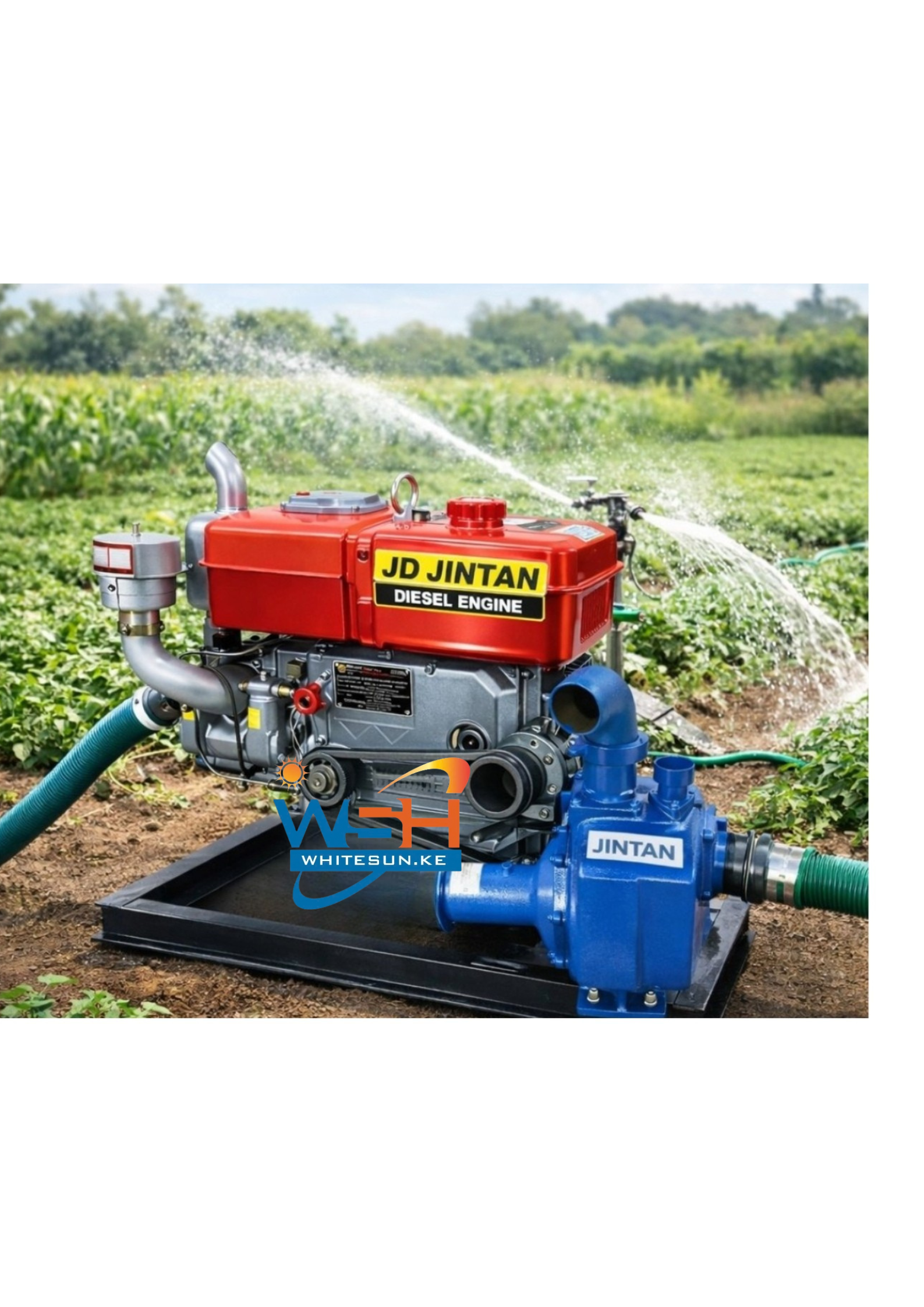 7.5HP JD JINTAN R175A Water-cooled diesel Engine -Single cylinder, agricultural power unit - Image 5