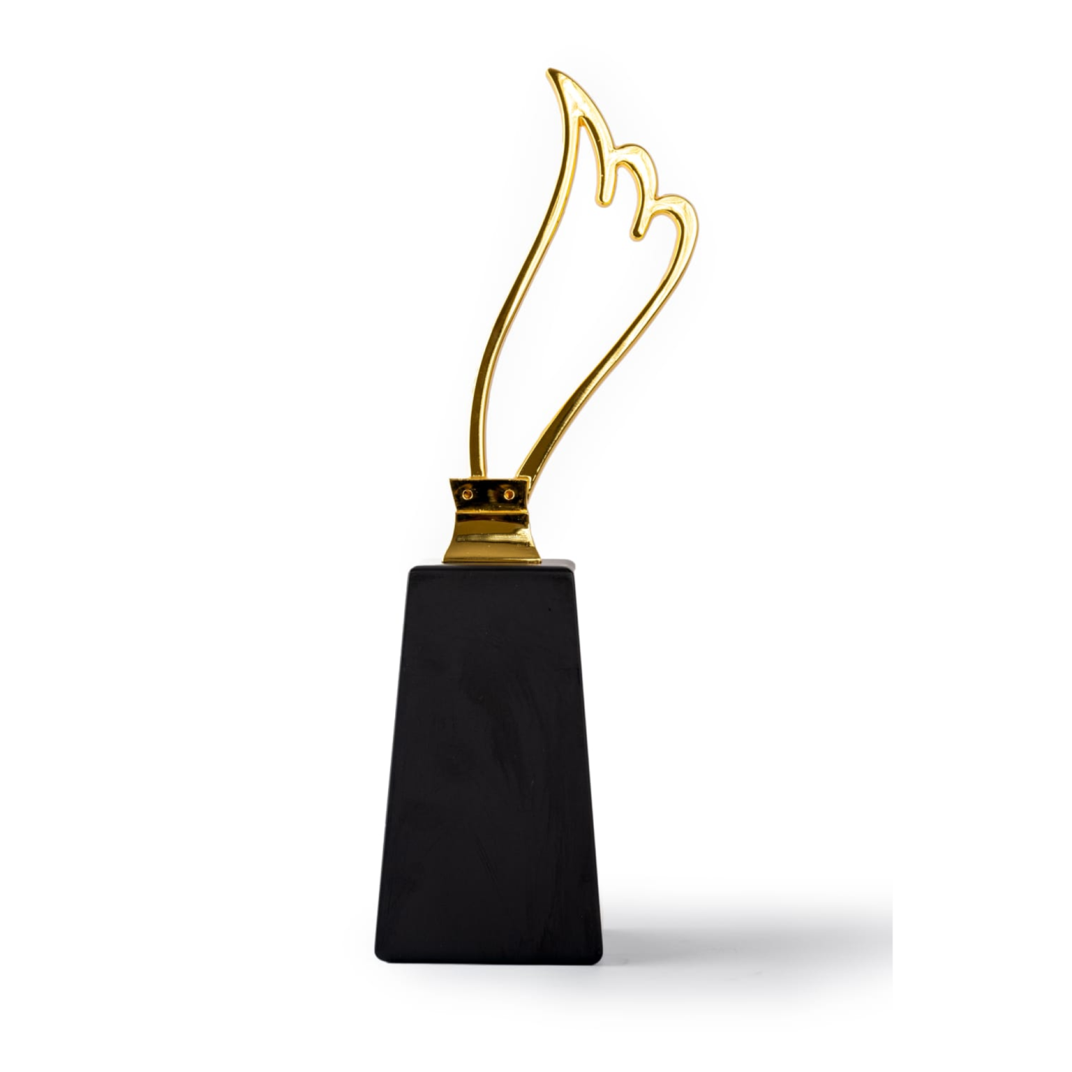 M Top Trophy - Image 5