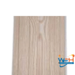 Untitled design_20260313_160749_0000