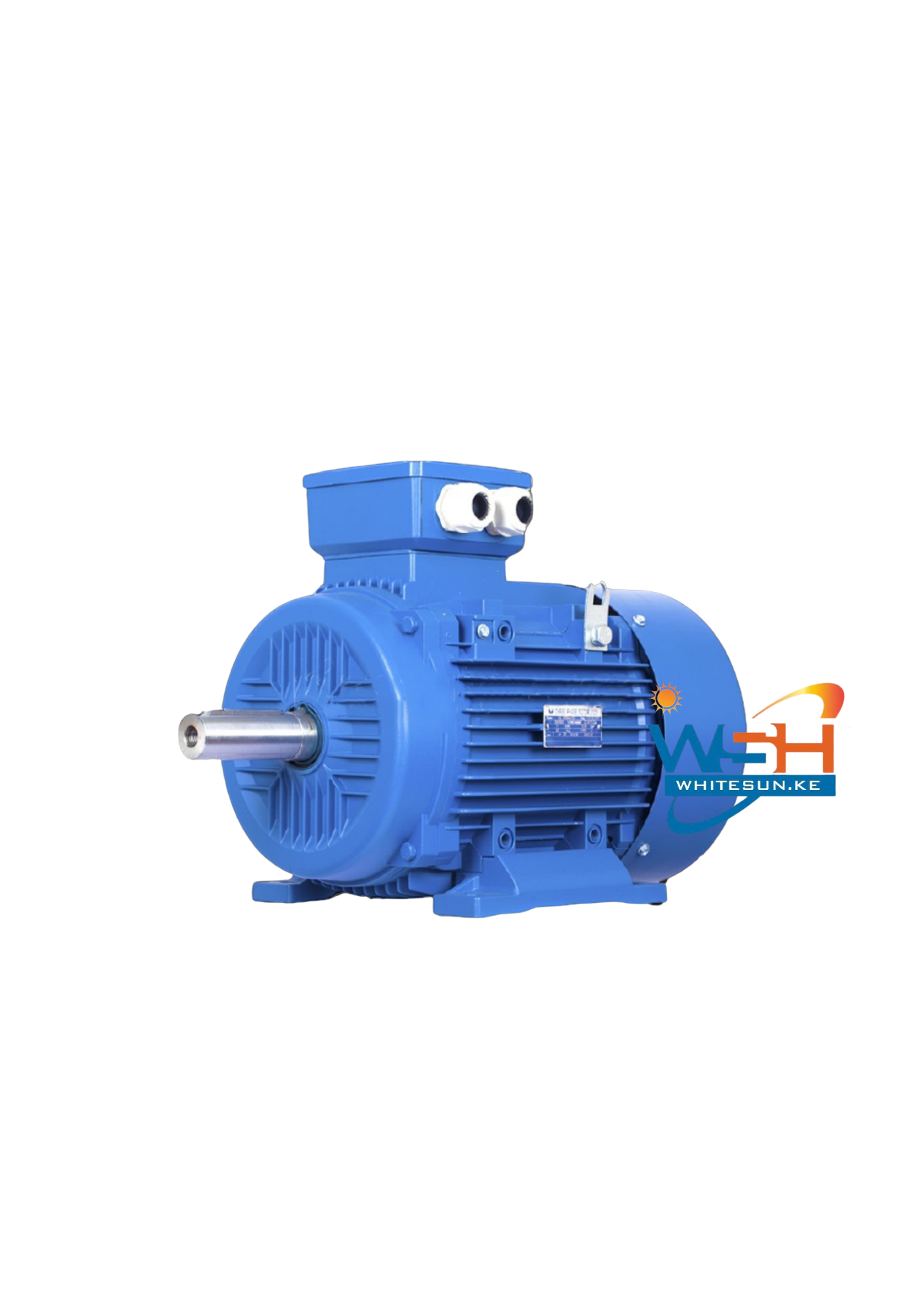 5HP Astramilano Low Speed Electric Motor Single Phase - Image 3