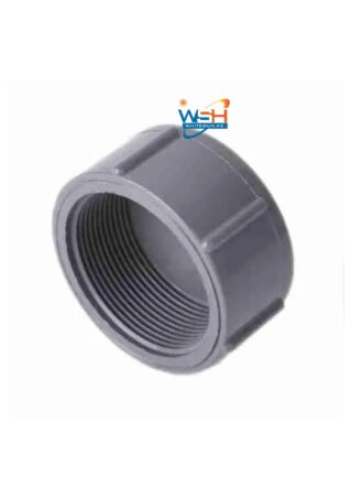 PVC Waste Plug 2″