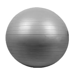 Gym Ball Anti-Burst 75Cm Grey/Light green/blue/black/dark green/red/purple (SPL1201)