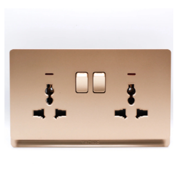 Universal Twin Wall Socket Gold