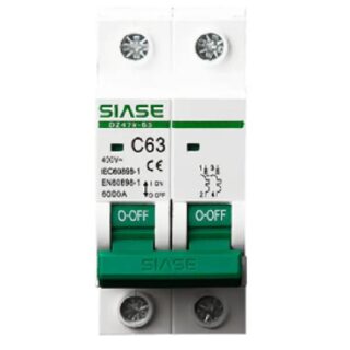 2 Pole Miniature Circuit Breaker C63 Breaking Capacity-6KA