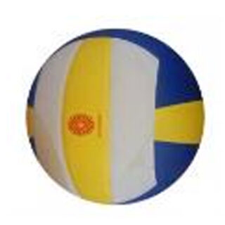 Volleyball 5L