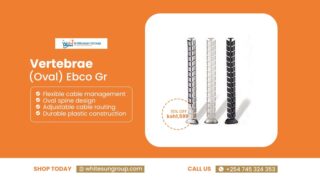 Vertebrae (Oval) Ebco Gr
