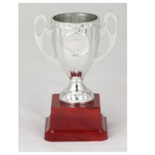 HNC-008-C Budget Trophy C 5CMCm