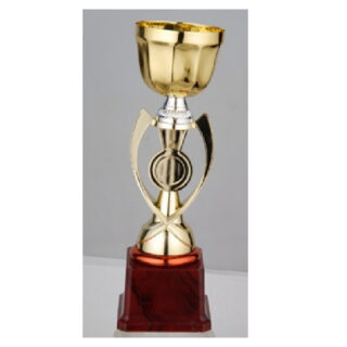 FB2018-C Budget Trophy C 27Cm