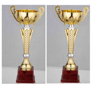 FB2054-A Budget Trophy A 38.5Cm