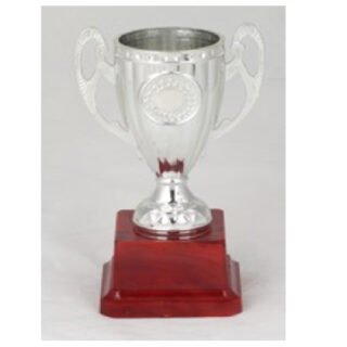 HNC-008-B Budget Trophy B 6CMCm