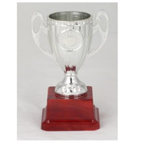 HNC-008-B Budget Trophy B 6CMCm