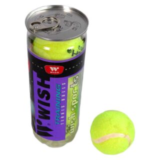 Tennis Balls Training 3Pcs/Tin Wish