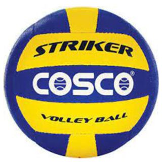 Volleyball 32 Panel Pu Striker
