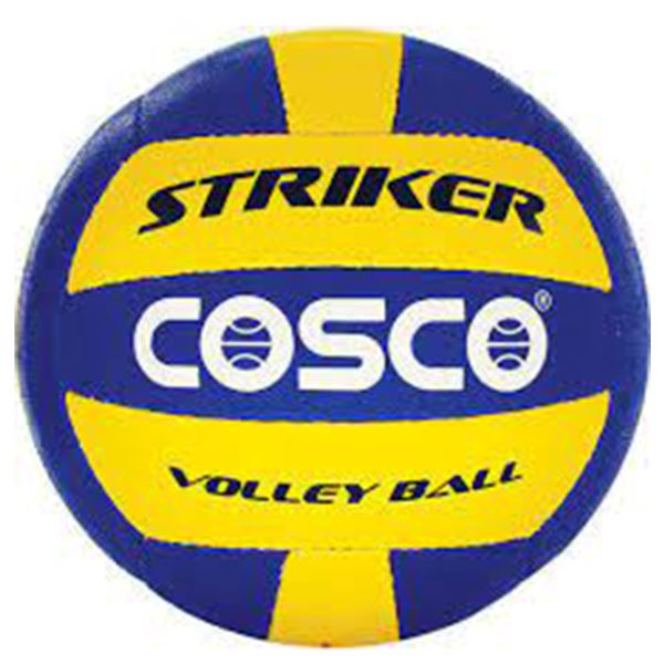 Volleyball 32 Panel Pu Striker