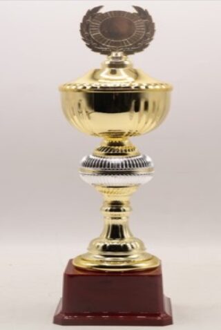 FB2042-A Budget Trophy A 38.5Cm