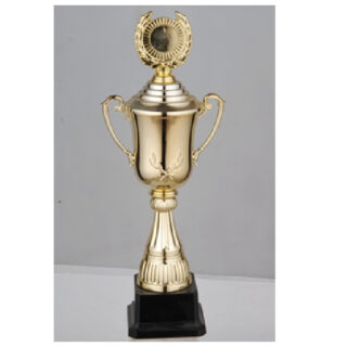 Budget Trophy-C 31Cm 70Mm Plastic