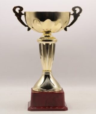 Budget Trophy 29.5 Dia/Cup(Mm)80 Fb2023C Metal