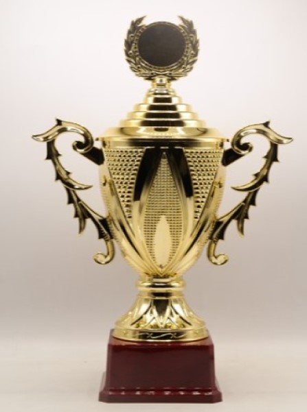 Budget Trophy H 22Cm Dia/Cup(Mm)5Cm Hb4111D Plastic