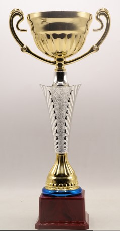 Budget Trophy-C 28.5Cm 80Mm Metal