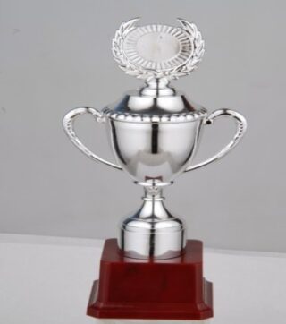 Budget Trophy-A 35.5Cm 80Mm Plastic
