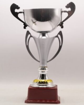 FB2030-C Budget Trophy C 31Cm