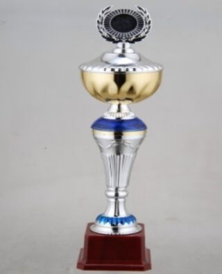 Budget Trophy C 35Cm
