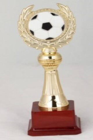 W005-C Budget Trophy C With Soccre Ball On Top