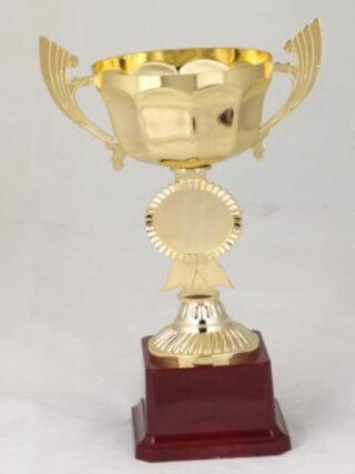 HB2421-A Budget Trophy A 12CMX12Cm