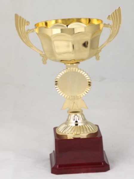 HB2421-A Budget Trophy A 12CMX12Cm