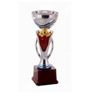Trophy Gold & Red H18-5128-1A