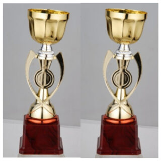FB2018-A Budget Trophy A 32Cm