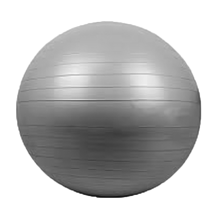 Gym Ball Anti-Burst 65Cm. Grey/Black/Blue/Light green/Orange