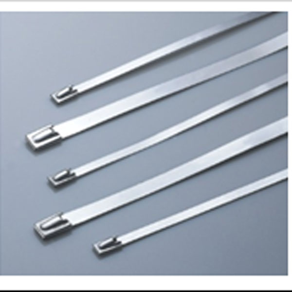S304 Stainless Steel Cable Ties 100Pcs 4.6X200