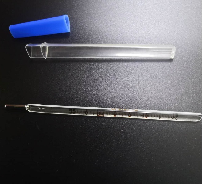 Clinical Thermometer, Oral Use, Long Bulb, 1pc/Plastic Shell