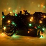 X-Mas Light Rice 100 Bulb Multi Color