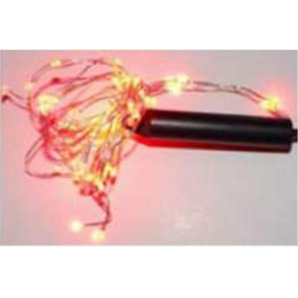 Outdoor 10 Meter LED Light with 188 LEDs and Adaptor – Red
