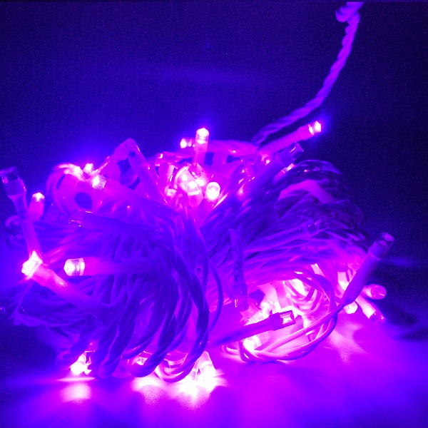 10M LED String Light 100 Bulbs, Purple