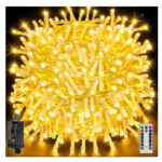 100M LED String Light 800L, Controller, Warm White